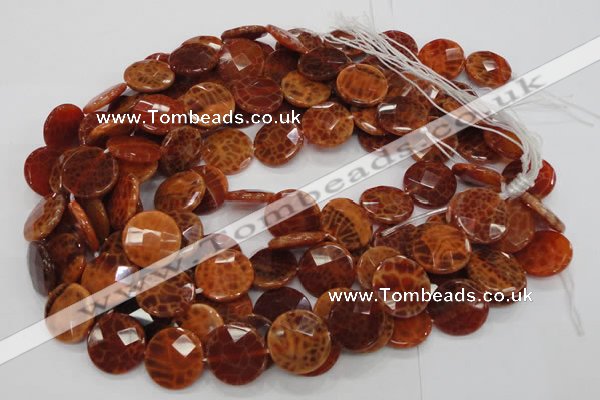 CAG638 15.5 inches 16mm faceted coin natural fire agate beads