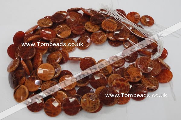 CAG639 15.5 inches 20mm faceted coin natural fire agate beads