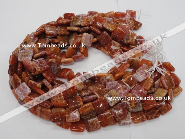 CAG645 15.5 inches 20mm square natural fire agate beads wholesale