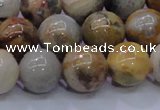 CAG6674 15.5 inches 12mm round natural crazy lace agate beads