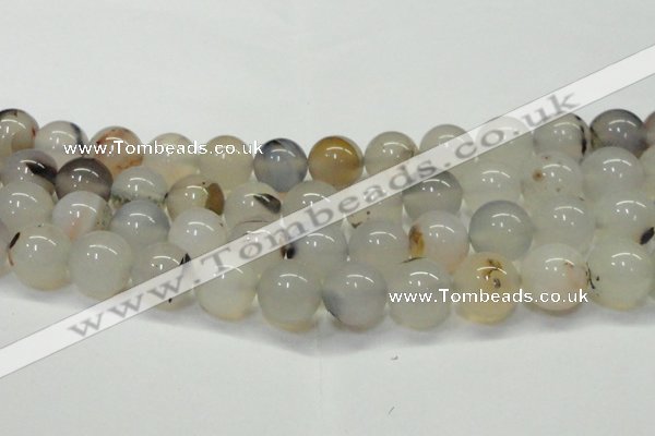 CAG6763 15 inches 12mm round Montana agate beads wholesale