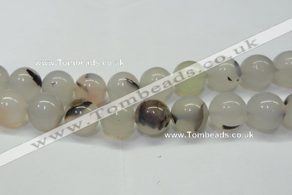 CAG6766 15 inches 18mm round Montana agate beads wholesale