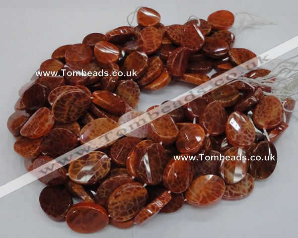 CAG678 15.5 inches 18*25mm twisted oval natural fire agate beads