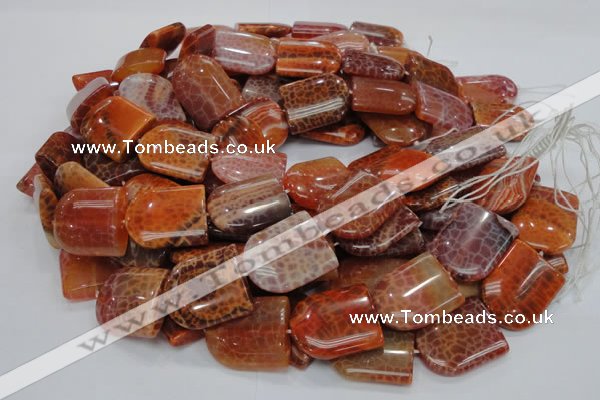 CAG684 15.5 inches 25*30mm freeform natural fire agate beads