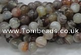 CAG735 15.5 inches 6mm round botswana agate beads wholesale