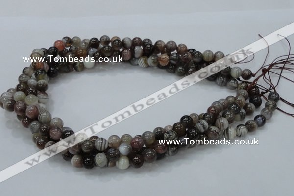 CAG736 15.5 inches 8mm round botswana agate beads wholesale