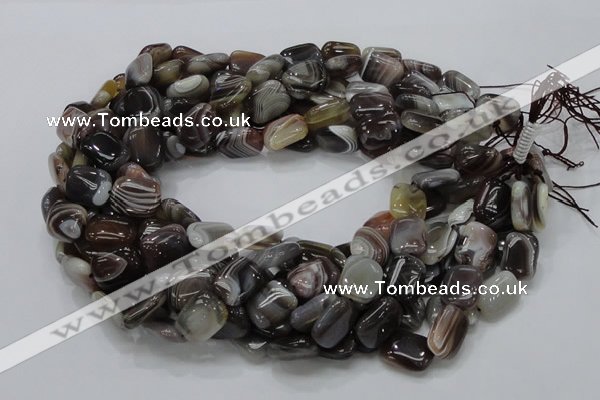 CAG737 15.5 inches 10*14mm rectangle botswana agate beads wholesale