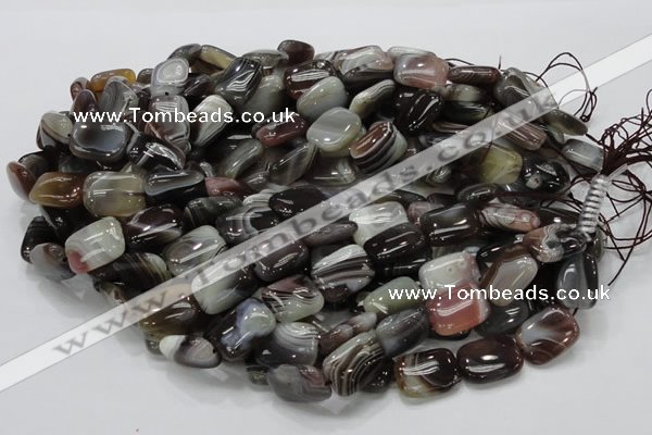 CAG738 15.5 inches 12*16mm rectangle botswana agate beads wholesale