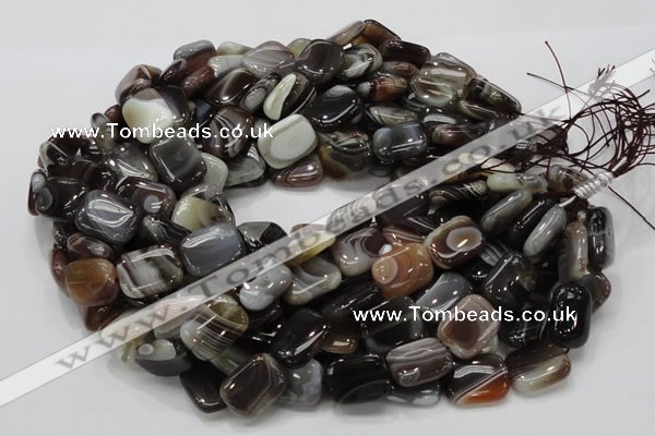 CAG739 15.5 inches 14*18mm rectangle botswana agate beads wholesale