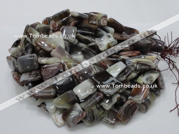 CAG740 15.5 inches 16*20mm rectangle botswana agate beads wholesale