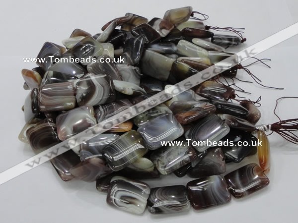 CAG741 15.5 inches 18*24mm rectangle botswana agate beads wholesale