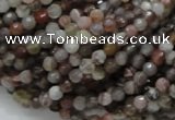 CAG742 15.5 inches 4mm faceted round botswana agate beads wholesale