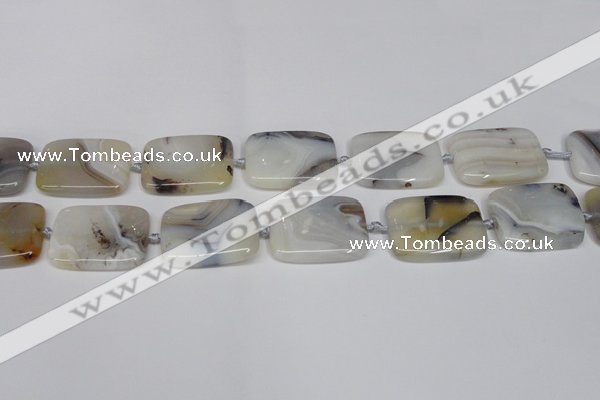 CAG7424 15.5 inches 20*30mm rectangle Montana agate beads