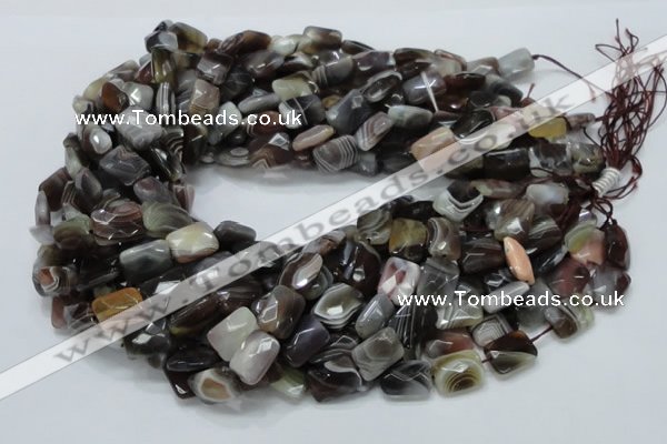 CAG759 15.5 inches 10*14mm faceted rectangle botswana agate beads