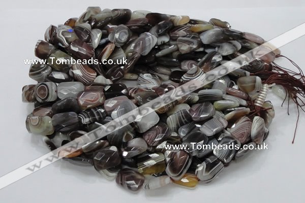 CAG760 15.5 inches 14*18mm faceted rectangle botswana agate beads