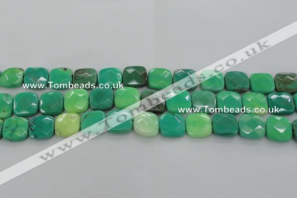 CAG7915 15.5 inches 18*18mm faceted square grass agate beads