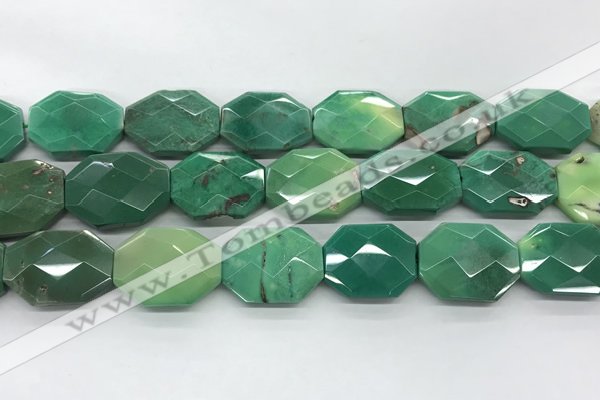 CAG7929 15.5 inches 22*30mm - 25*25mm faceted octagonal grass agate beads