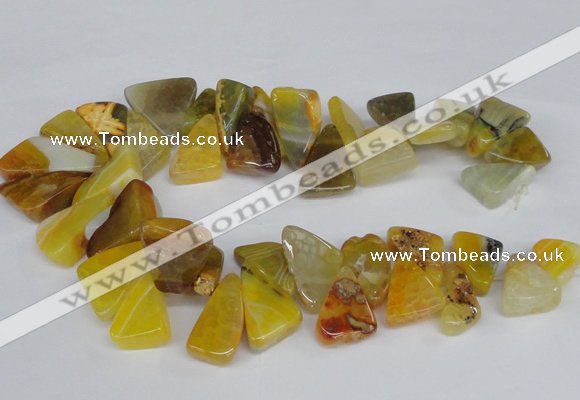 CAG8543 Top drilled 15*20mm - 25*30mm freeform dragon veins agate beads