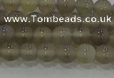 CAG9343 15.5 inches 6mm round matte grey agate beads wholesale