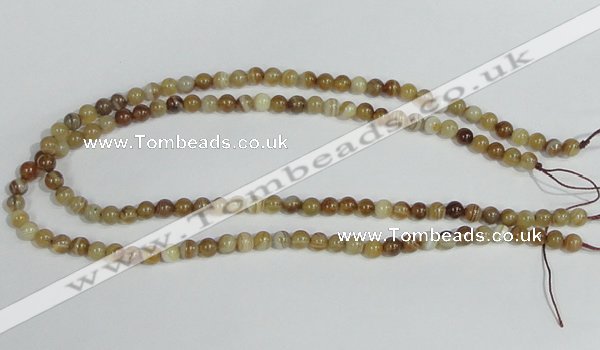 CAG936 16 inches 6mm round madagascar agate gemstone beads