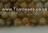 CAG9401 15.5 inches 6mm round ocean fossil agate beads wholesale