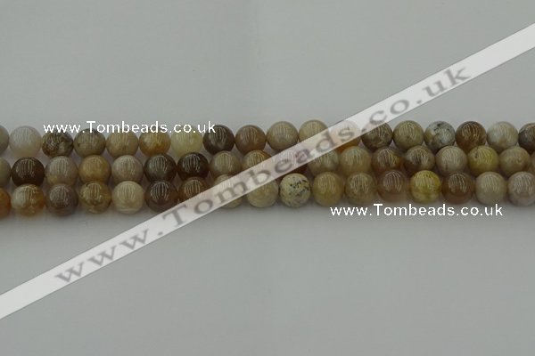 CAG9402 15.5 inches 8mm round ocean fossil agate beads wholesale