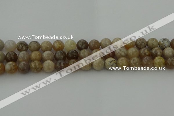 CAG9403 15.5 inches 10mm round ocean fossil agate beads wholesale