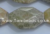 CAG9440 22*30mm - 25*35mm faceted freeform chrysanthemum agate beads