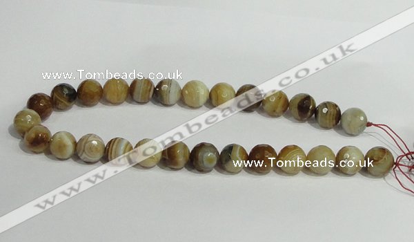 CAG948 16 inches 14mm faceted round madagascar agate gemstone beads