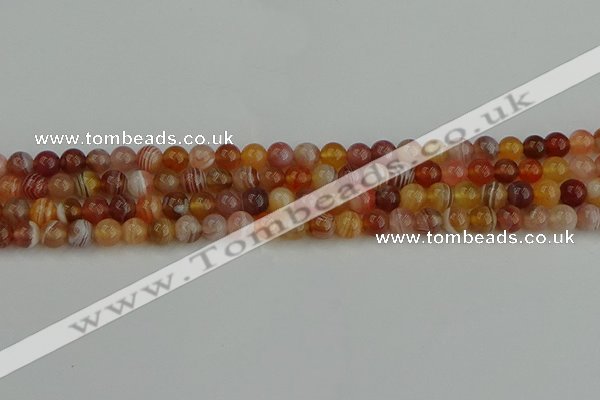 CAG9561 15.5 inches 6mm round red botswana agate gemstone beads