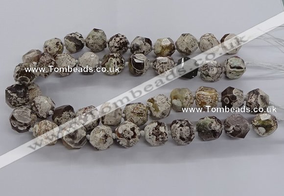 CAG9611 15.5 inches 14*16mm - 15*18mm faceted nuggets ocean agate beads