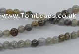 CAG970 15.5 inches 4mm round bamboo leaf agate gemstone beads