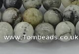 CAG9733 15.5 inches 10mm round black & white agate beads wholesale