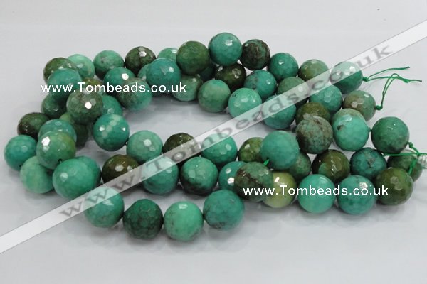 CAG976 15.5 inches 20mm faceted round green grass agate gemstone beads