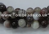 CAG980 15.5 inches 10mm round botswana agate beads wholesale