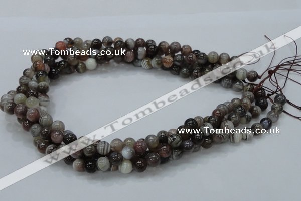 CAG981 15.5 inches 12mm round botswana agate beads wholesale