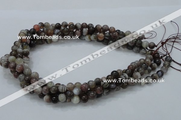 CAG982 15.5 inches 14mm round botswana agate beads wholesale