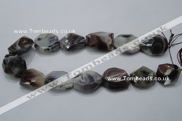 CAG991 15.5 inches 25*30mm faceted freeform botswana agate beads