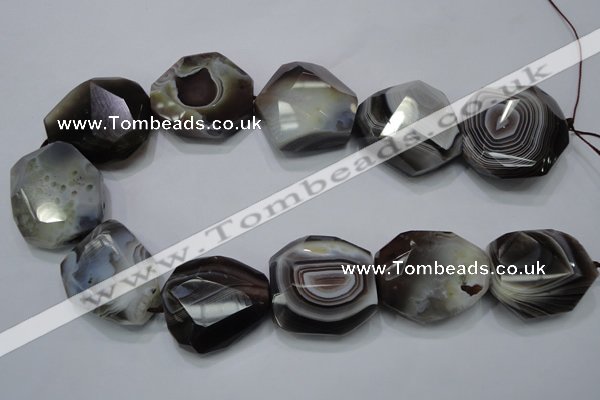 CAG992 15.5 inches 30*40mm faceted freeform botswana agate beads