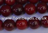 CAJ753 15.5 inches 10mm round apple jasper beads wholesale