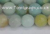 CAM1462 15.5 inches 12mm faceted round amazonite beads wholesale