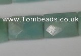 CAM633 15.5 inches 10*14mm faceted rectangle Chinese amazonite beads