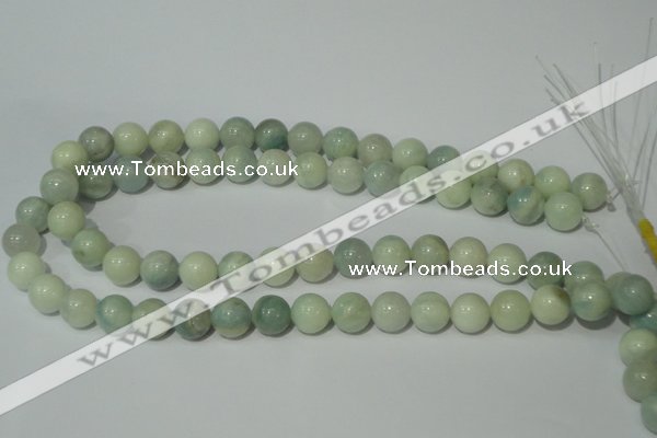 CAM703 15.5 inches 10mm round natural amazonite gemstone beads