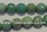 CAM815 15.5 inches 12mm faceted round Brazilian amazonite beads