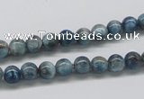 CAP05 15.5 inches 6mm round apatite gemstone beads wholesale