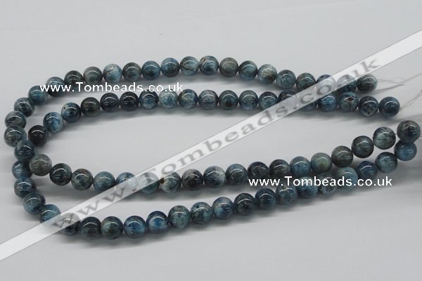 CAP06 15.5 inches 10mm round apatite gemstone beads wholesale