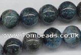 CAP07 15.5 inches 14mm round apatite gemstone beads wholesale