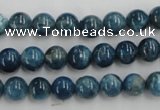 CAP203 15.5 inches 8mm round natural apatite gemstone beads