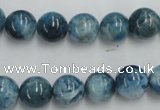 CAP204 15.5 inches 10mm round natural apatite gemstone beads