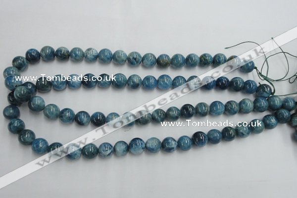 CAP204 15.5 inches 10mm round natural apatite gemstone beads